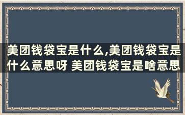 美团钱袋宝是什么,美团钱袋宝是什么意思呀 美团钱袋宝是啥意思